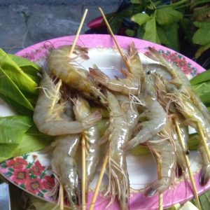 กุ้ง / Shrimp