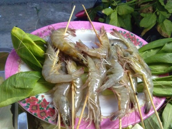 กุ้ง / Shrimp